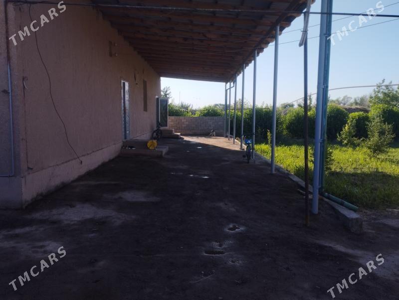 Satlyk jaý - Гороглы (Тагта) - img 10