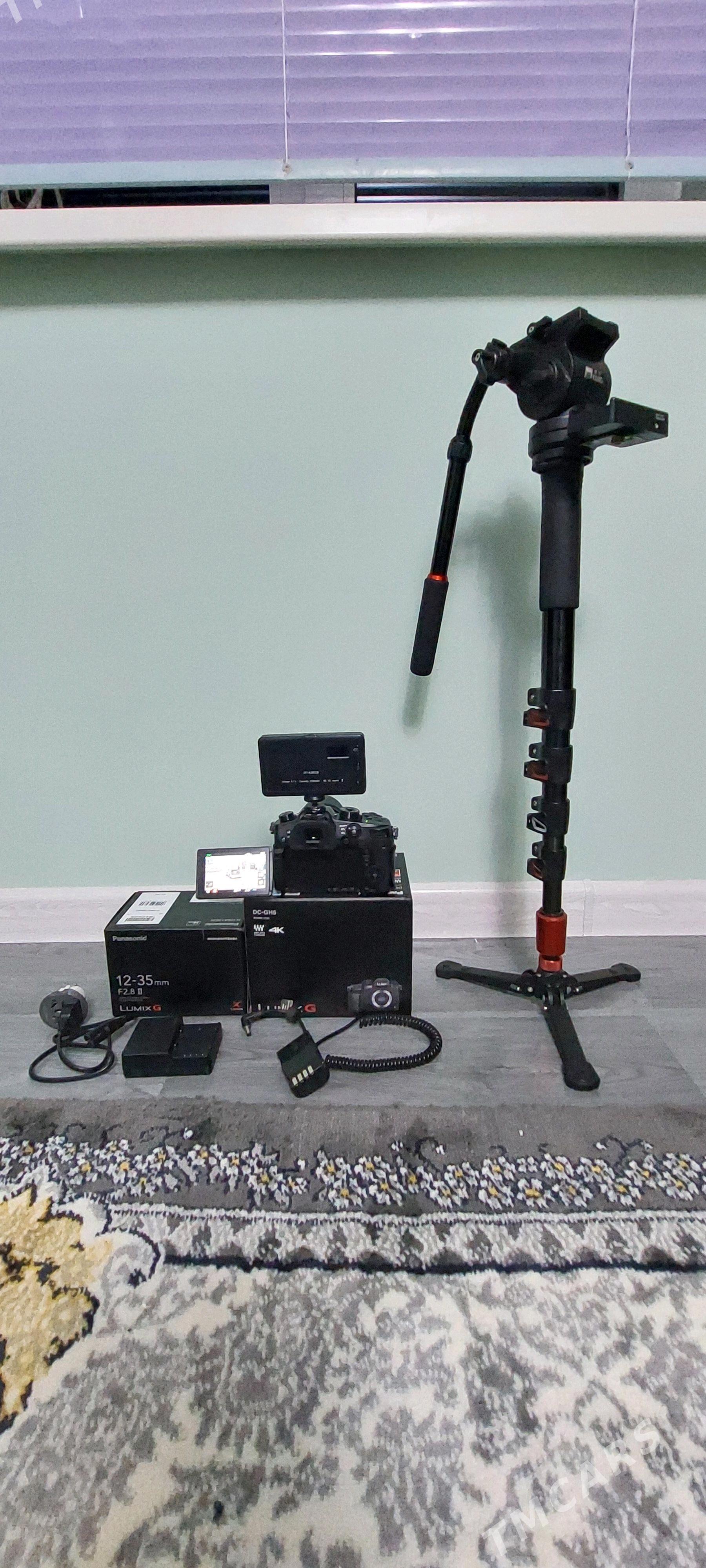 Lumix GH5  12 35 AB - Теджен - img 4