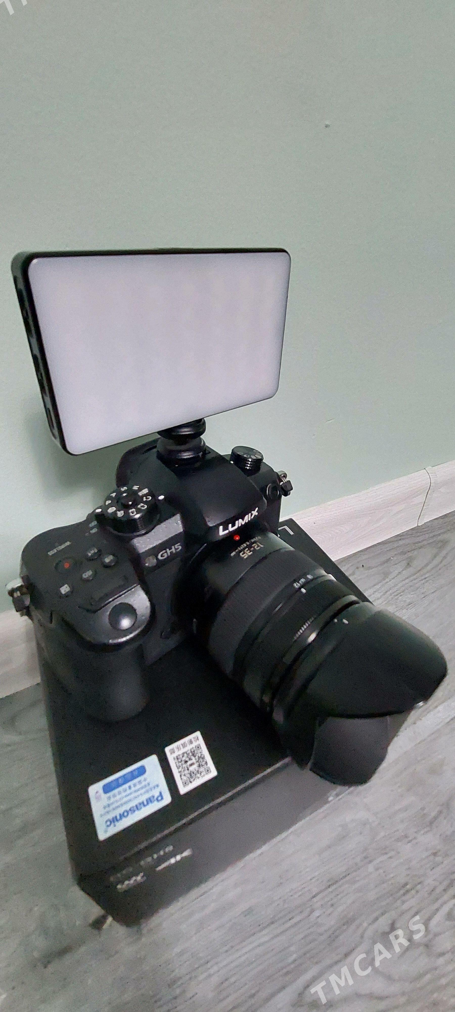 Lumix GH5  12 35 AB - Теджен - img 5