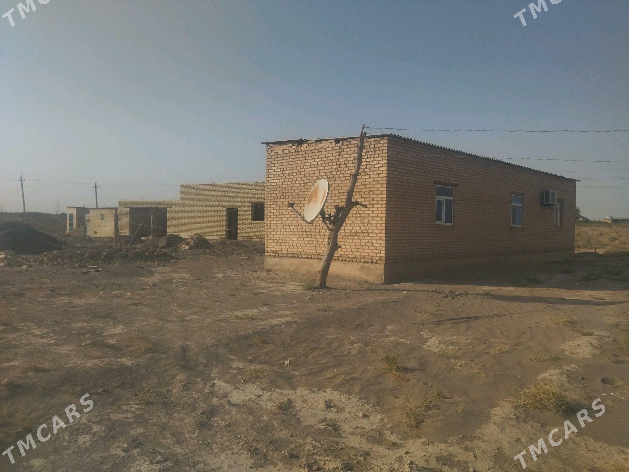 Satlyk jay - Серахс - img 2