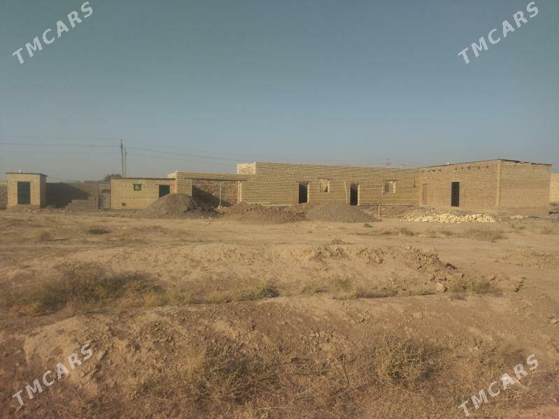 Satlyk jay - Серахс - img 9