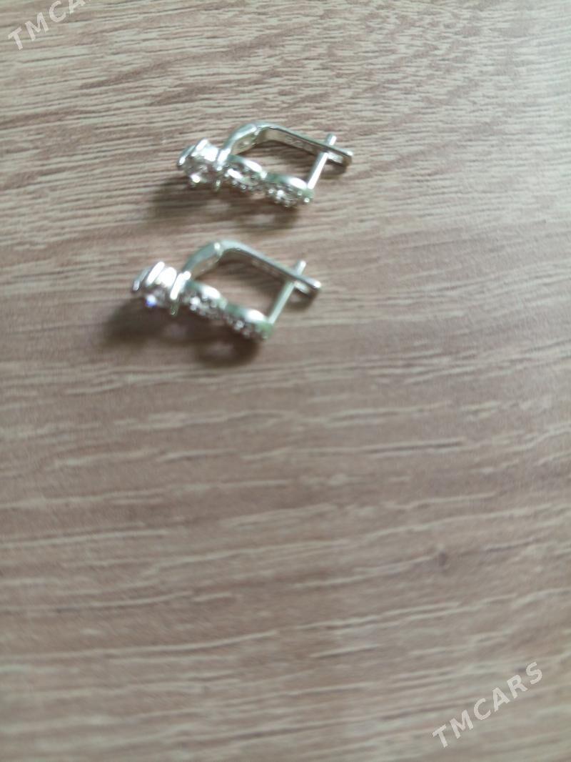 gulahalka kümüş - Tejen - img 2