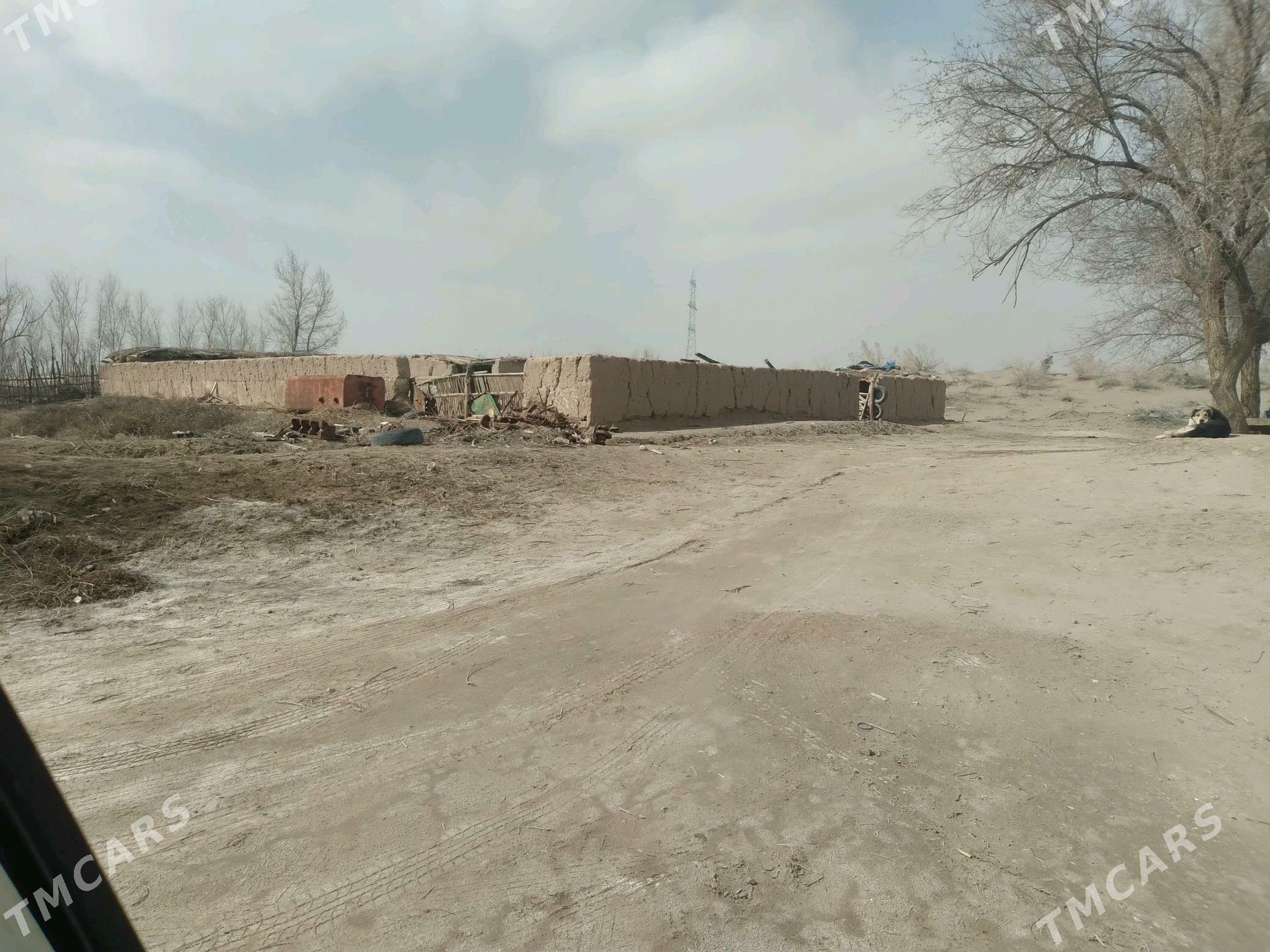 Jay 32 sotik - Дашогуз - img 5