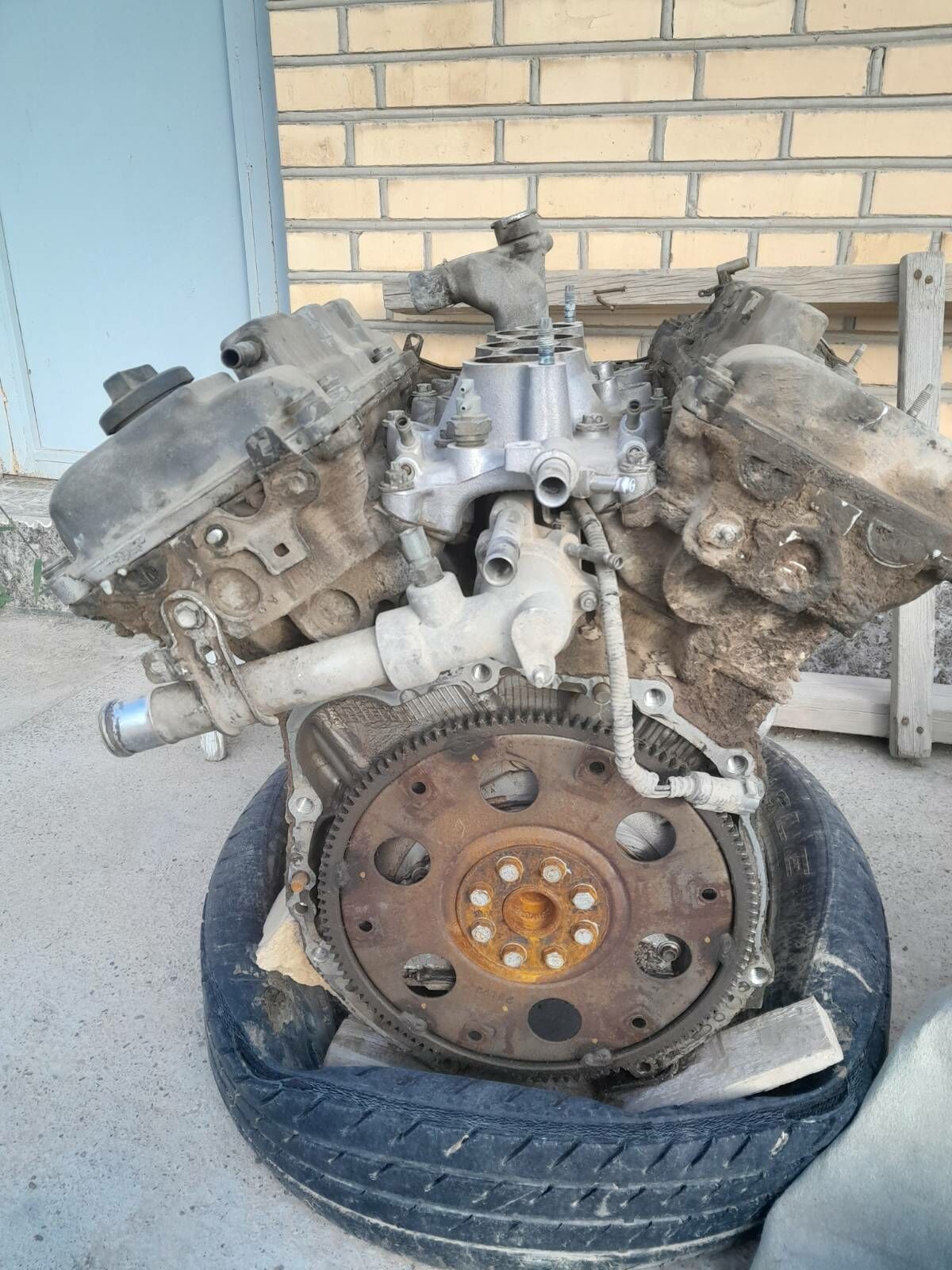 Mator 2 200 TMT - Mary - img 2