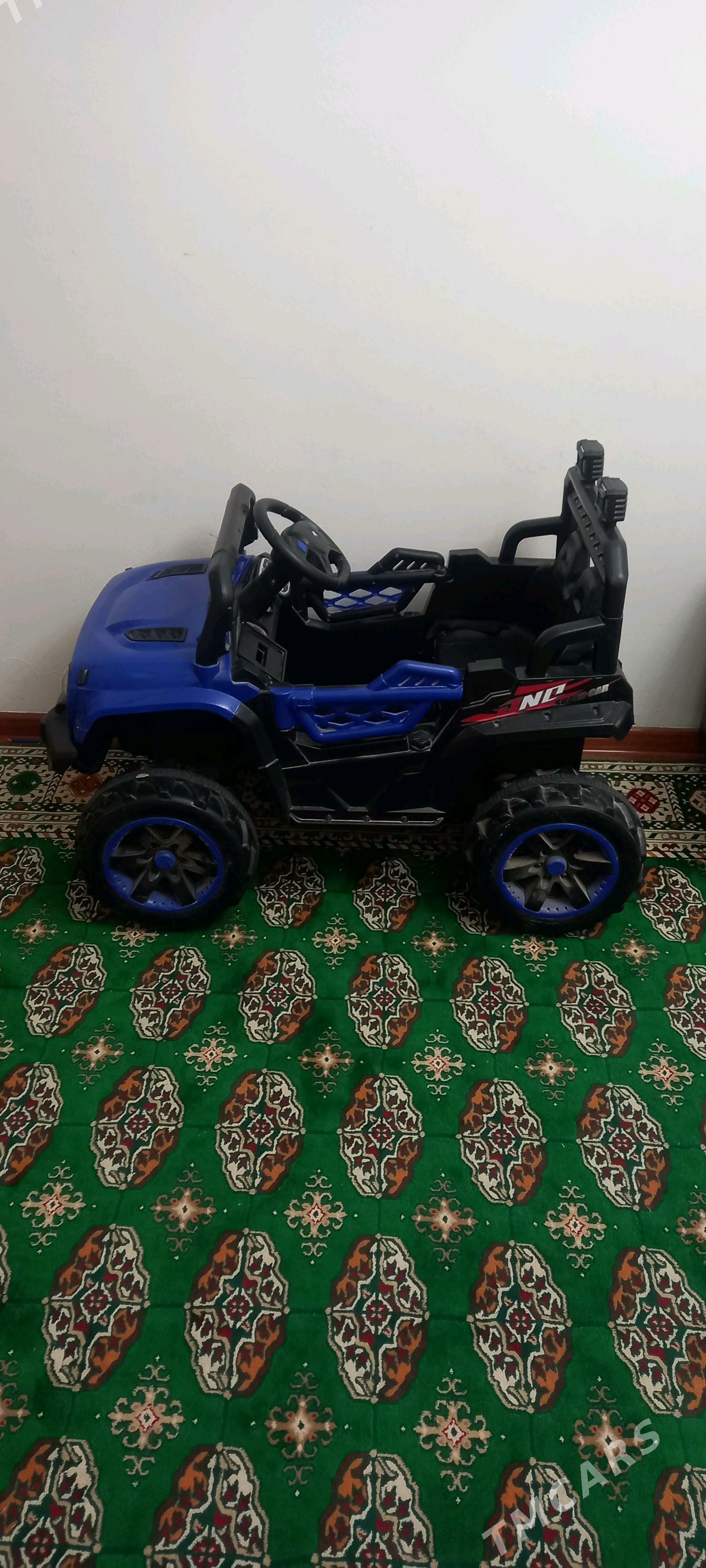 caga masyn - Гаудан "В" - img 2