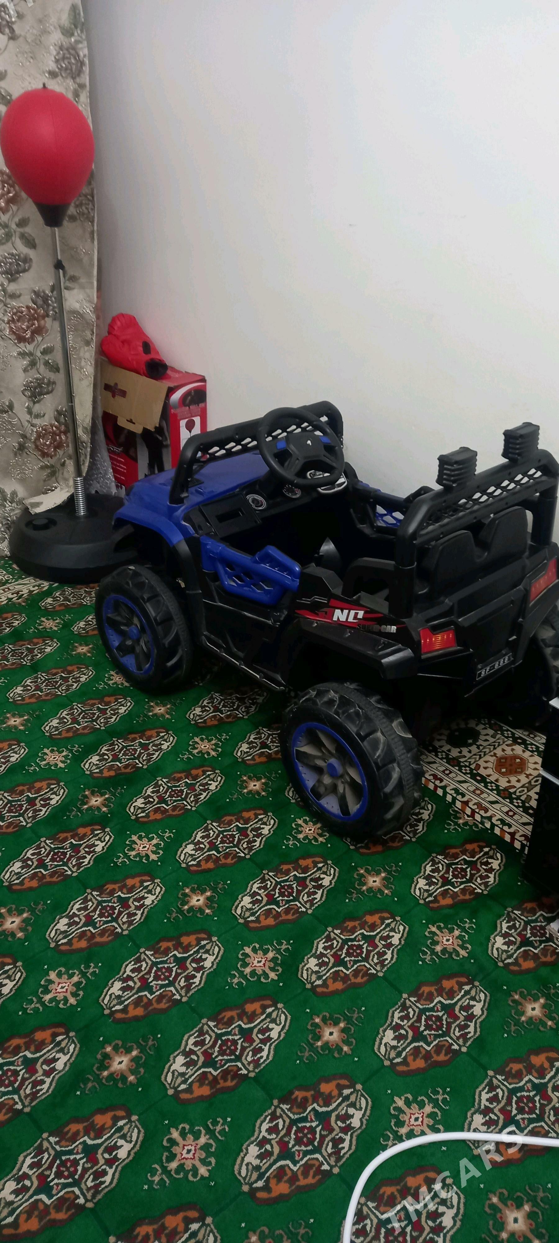 caga masyn - Гаудан "В" - img 3