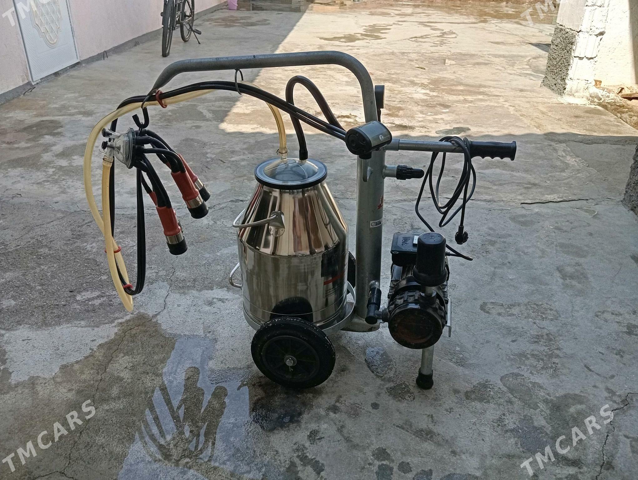Sygyr sagylyan enjam - Gypjak - img 1