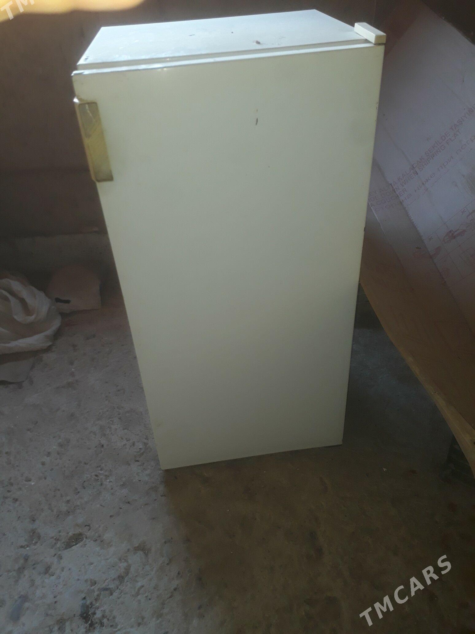 haladynlyk - Мургап - img 3