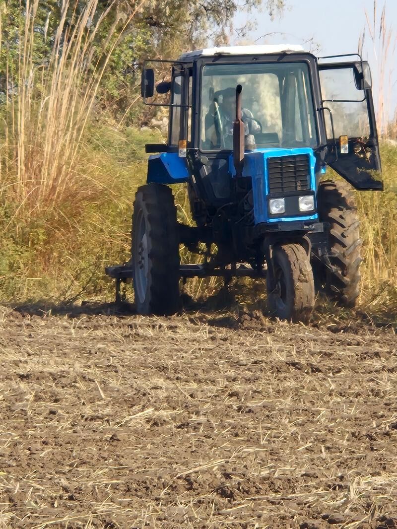 MTZ 80 1992 - 95 000 TMT - Гороглы (Тагта) - img 5