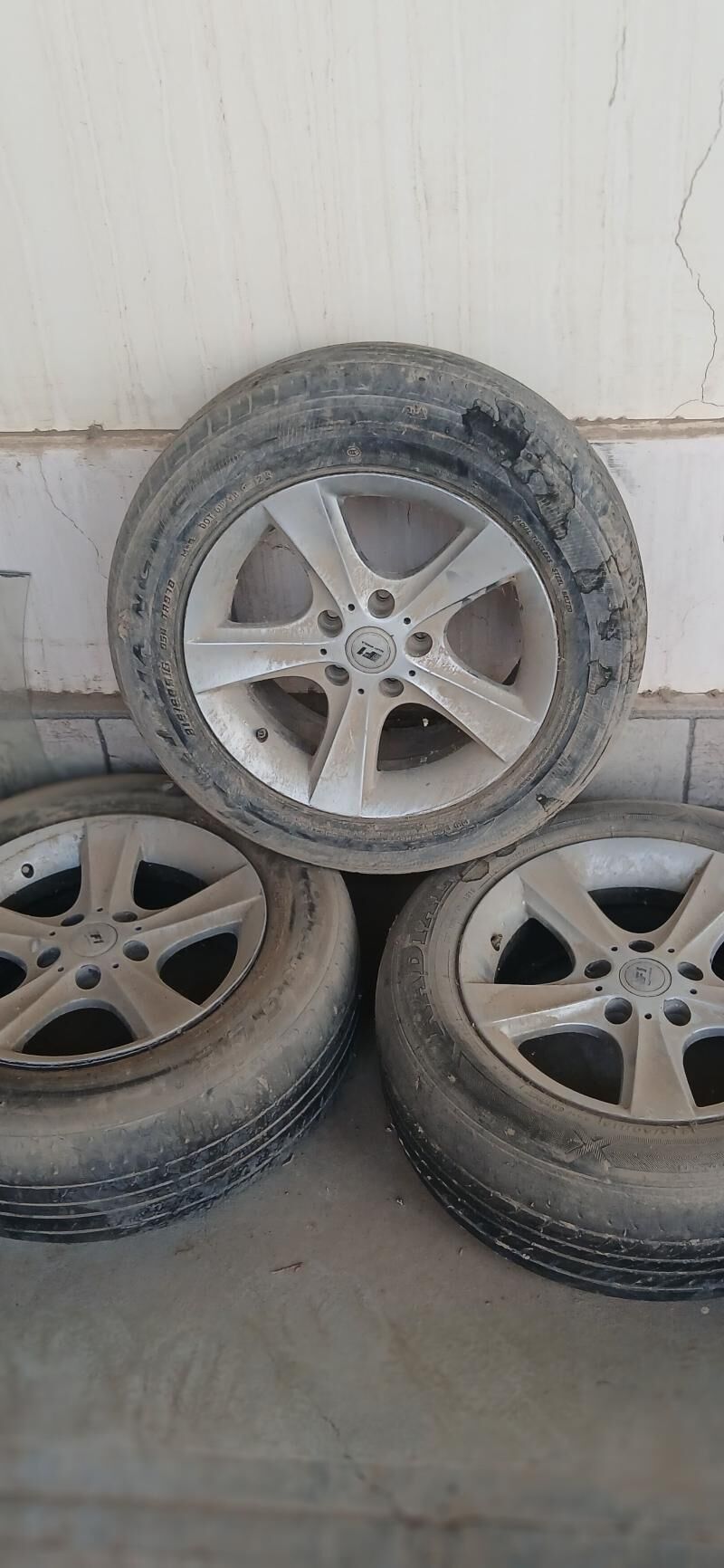 teker 1 000 TMT - Mary - img 1