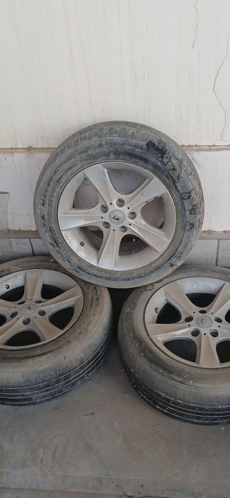 teker 1 000 TMT - Mary - img 2