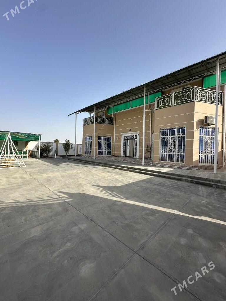 BAGYR ARZAN KOTEŻ - Bagyr - img 7