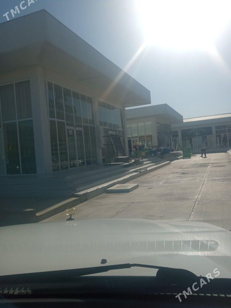 Atele Egineşik - Gurtly - img 2