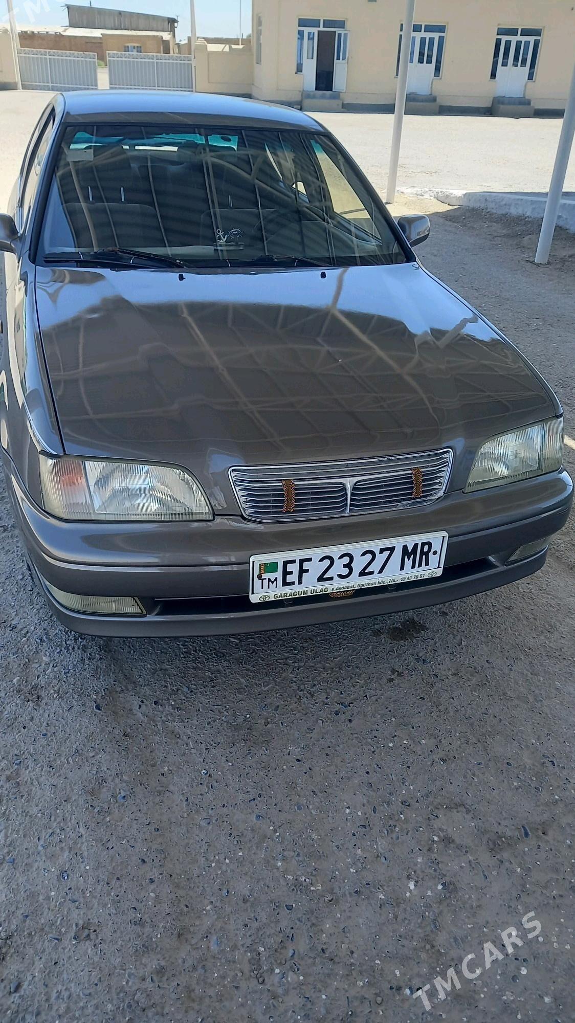 Toyota Camry 1995 - 70 000 TMT - Sakarçäge - img 5