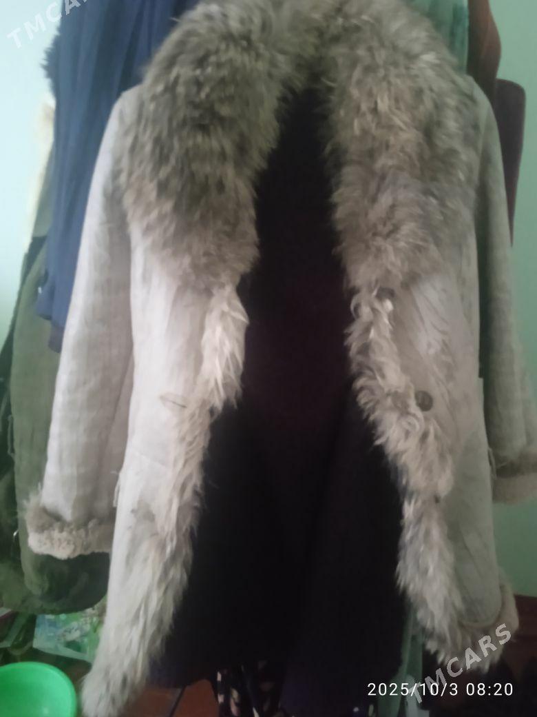 spartiwka balak - Köneürgenç - img 1