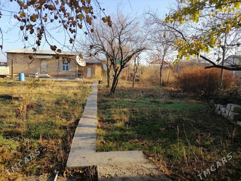 Дача - Мары - img 5