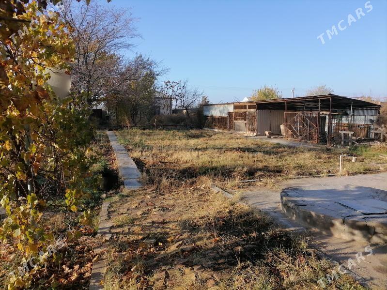 Дача - Мары - img 4