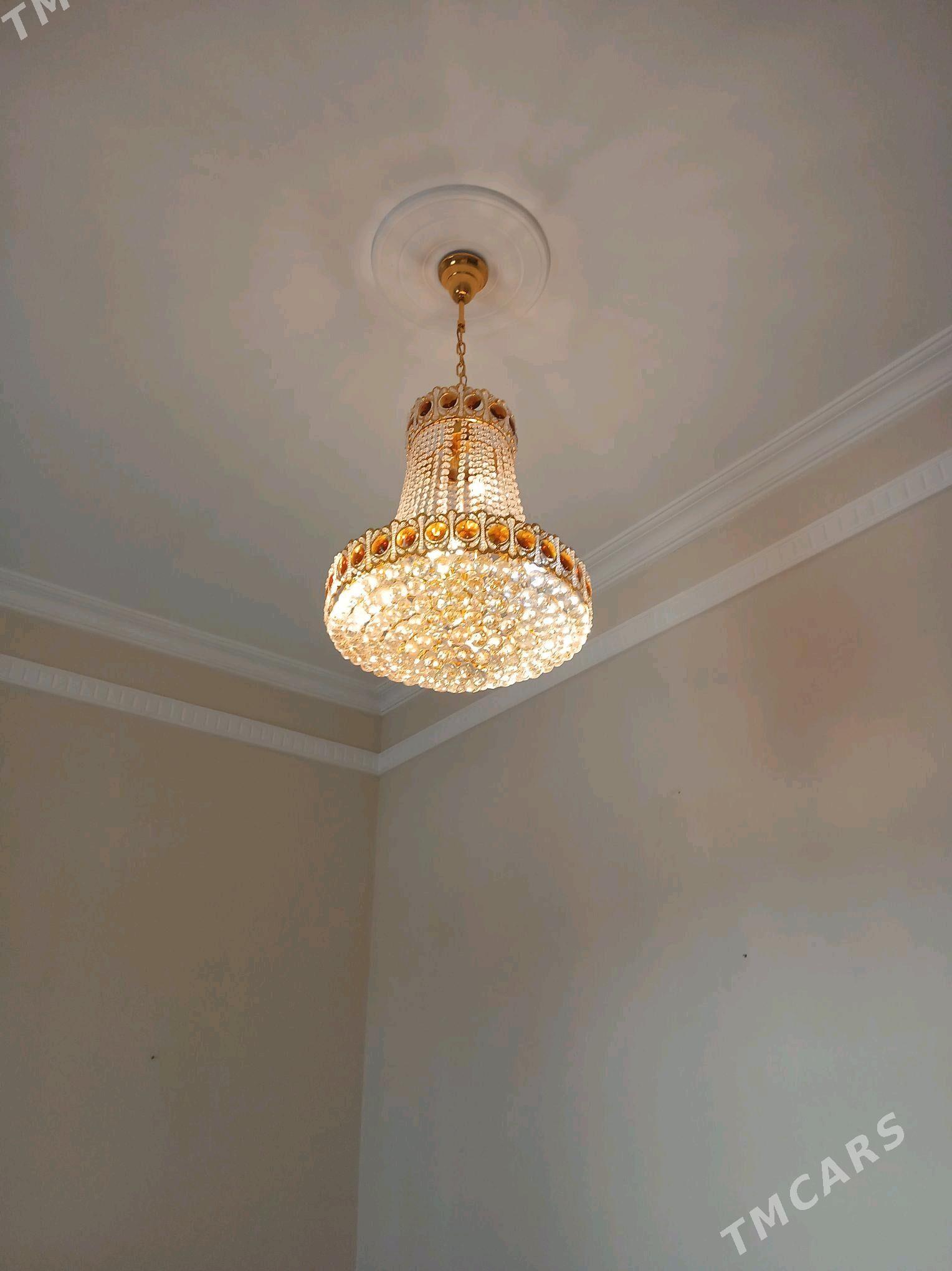 Lusdra - Podwoýski köç. (Bitarap Türkmenistan şaýoly) - img 2