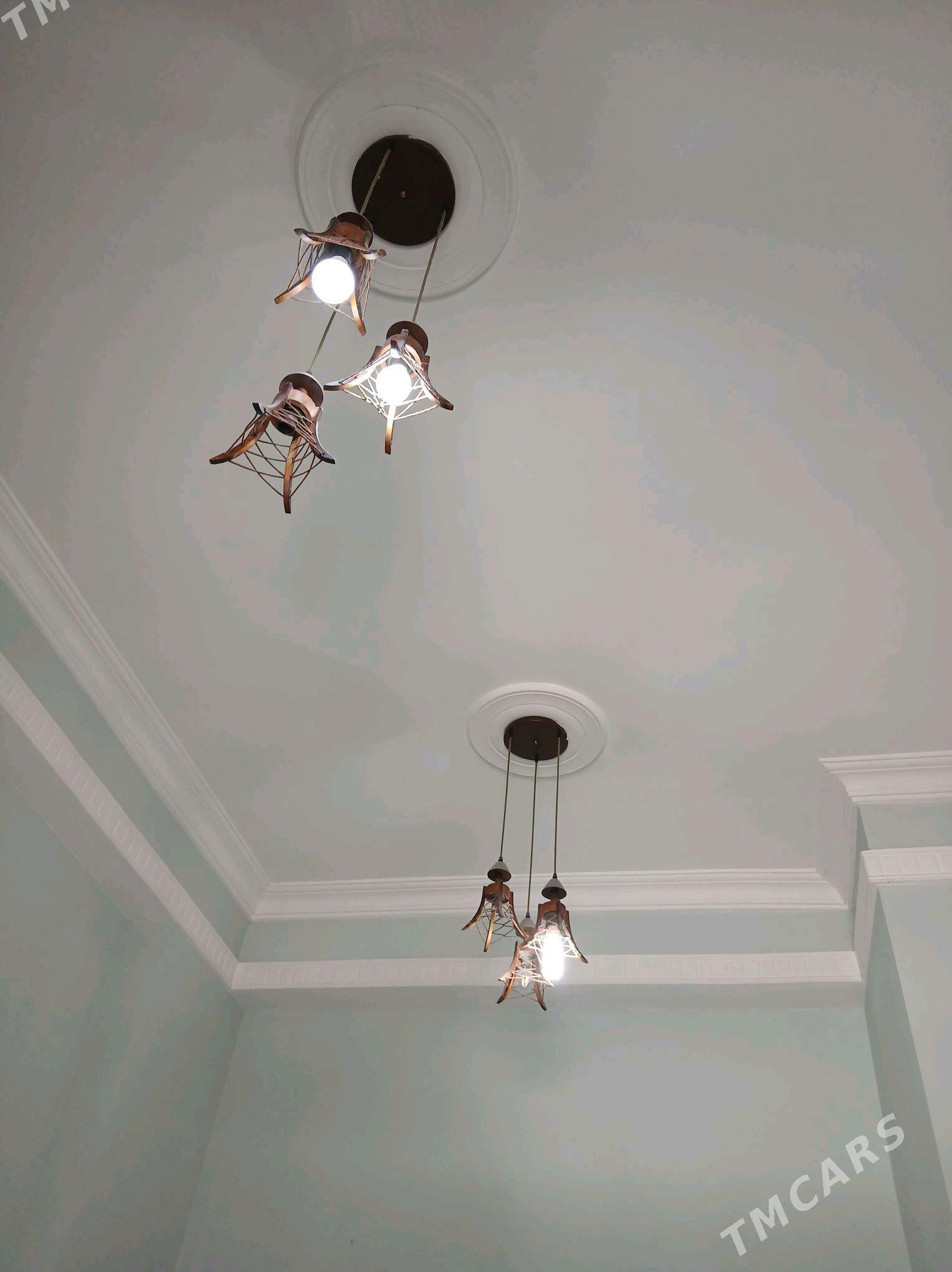 Lusdra - Podwoýski köç. (Bitarap Türkmenistan şaýoly) - img 3