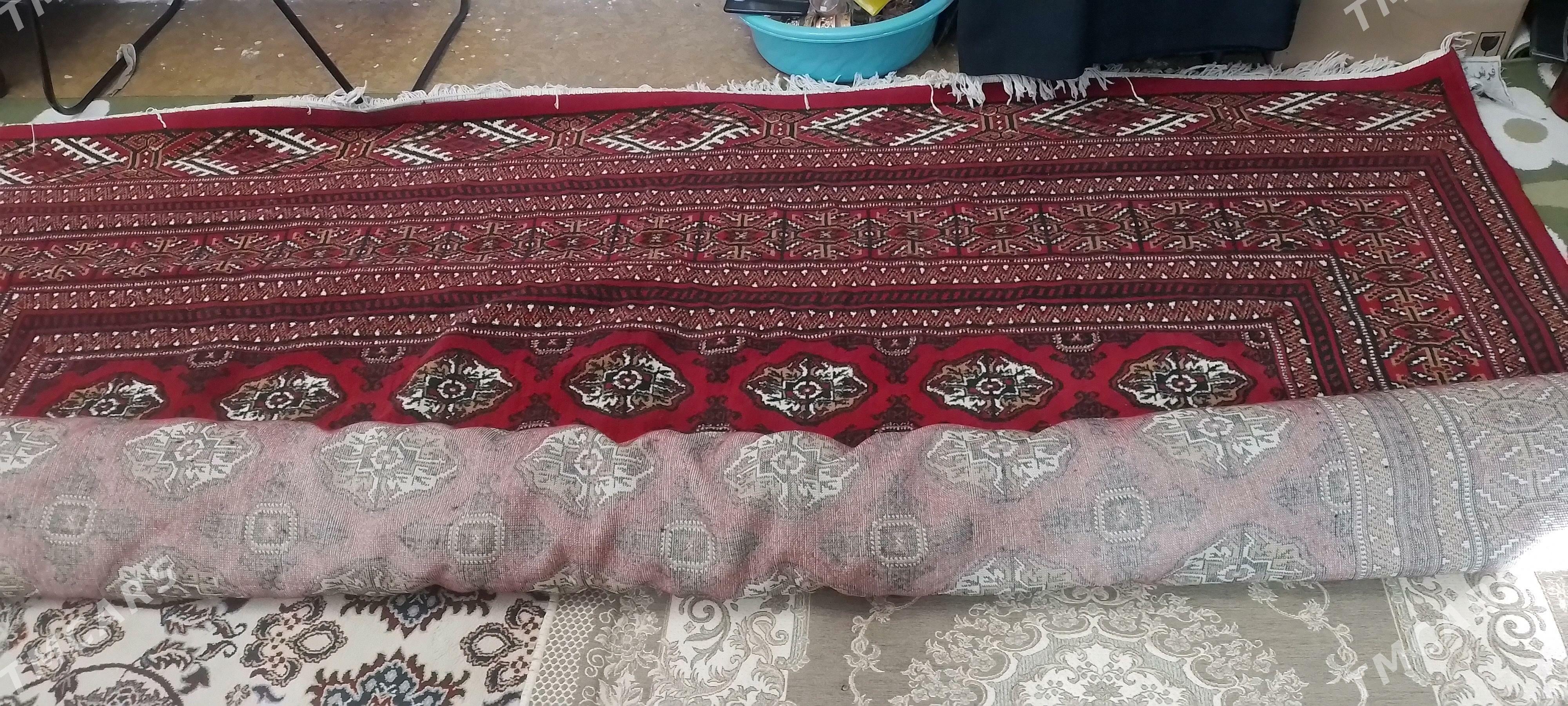 Haly - Daşoguz - img 1