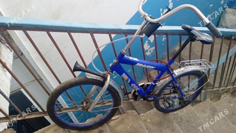 tigir - Büzmeýin GRES - img 2