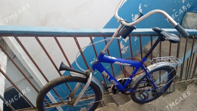 tigir - Büzmeýin GRES - img 3