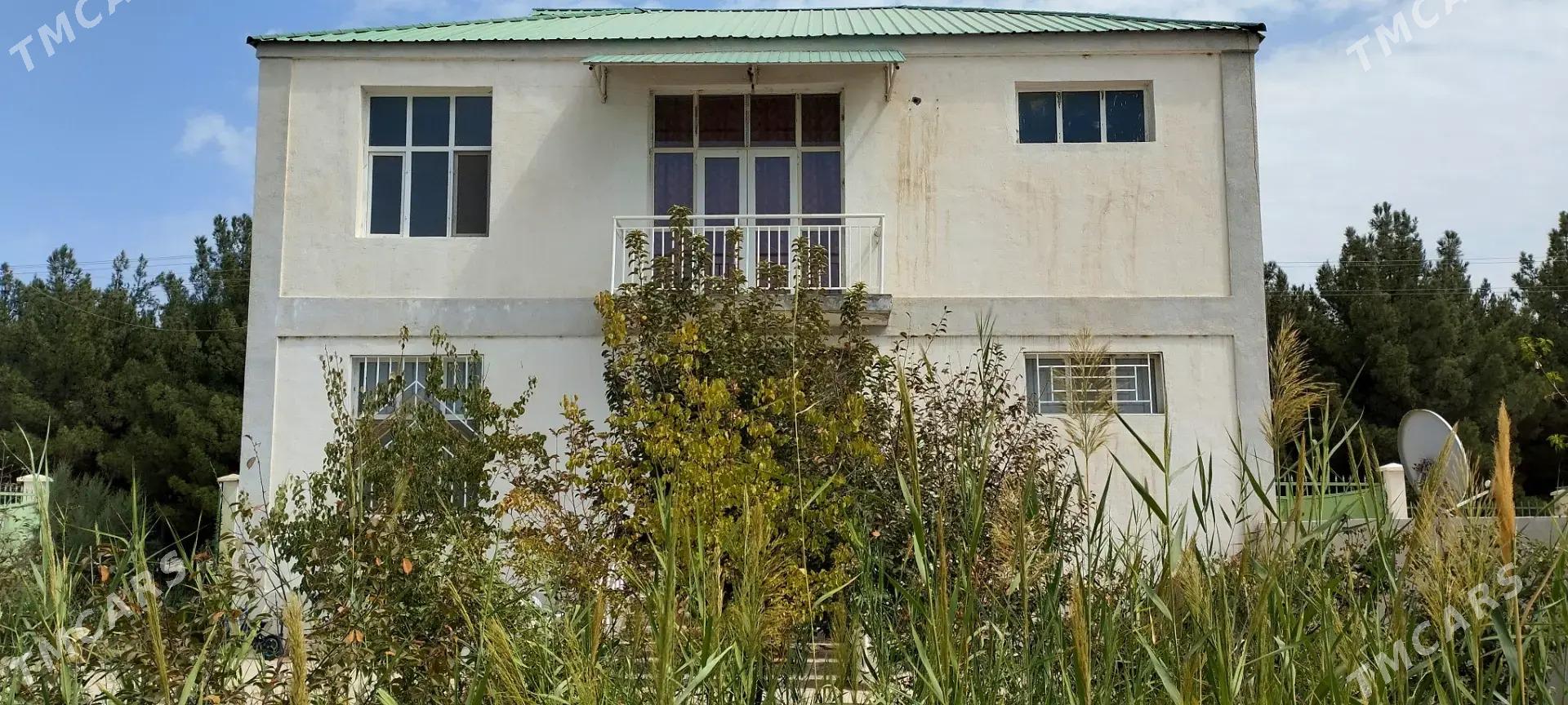 Gökdepe kateź satlyk - Gökdepe - img 2