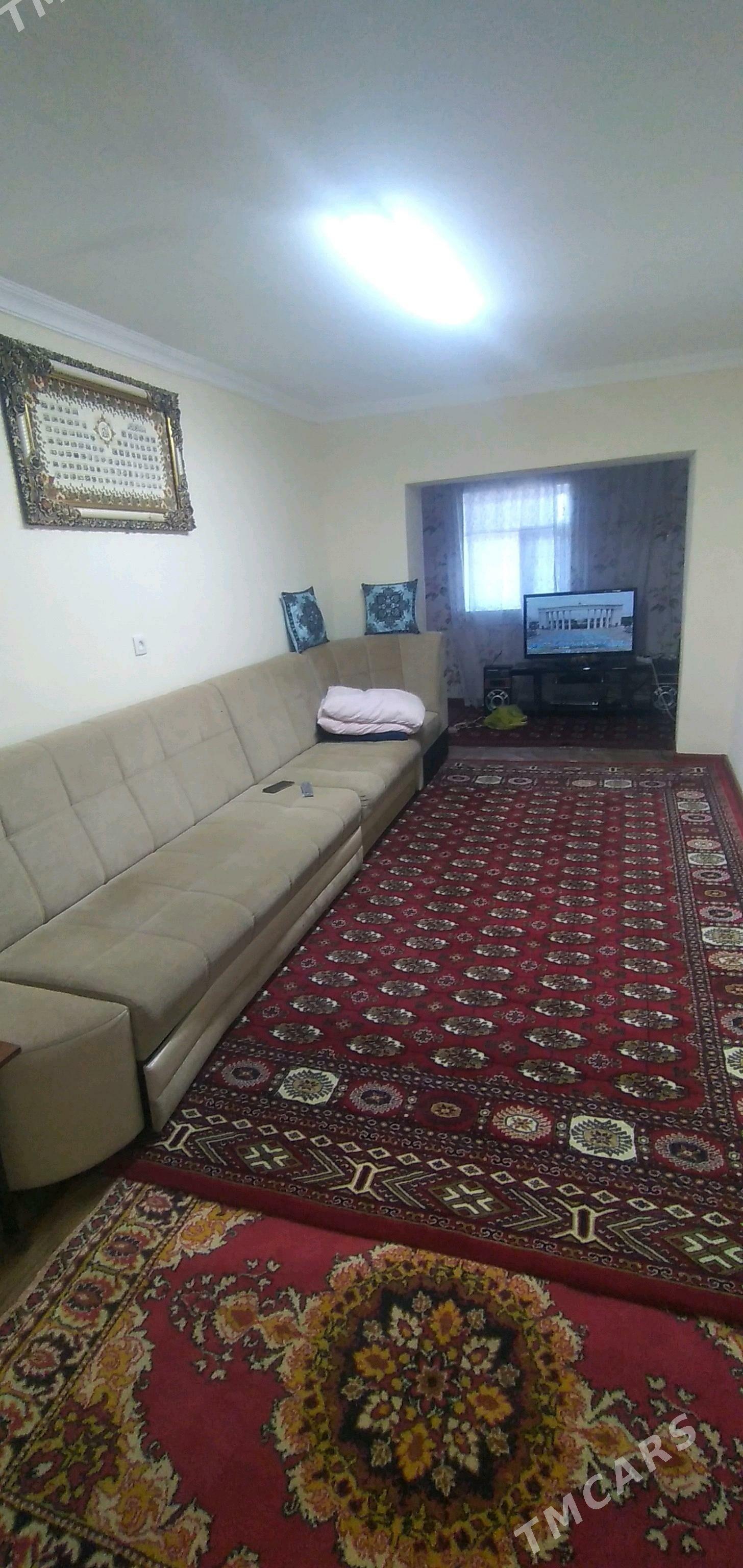 satlyk jay - Murgap - img 2