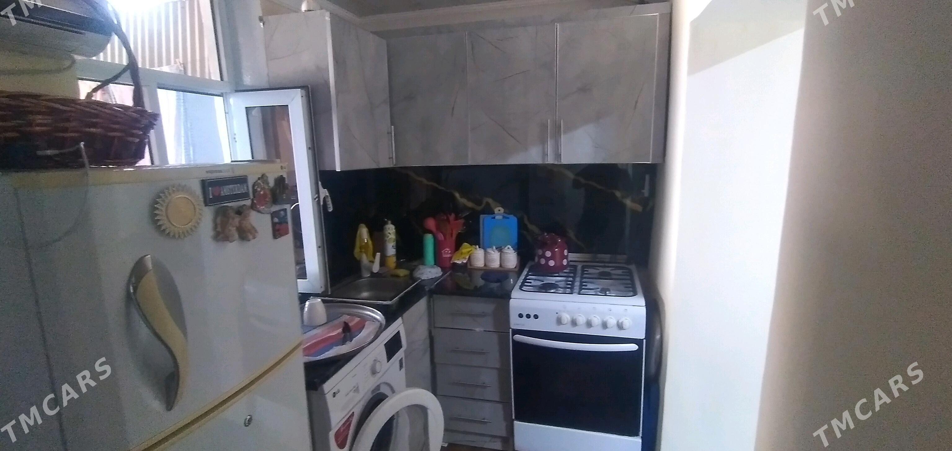 satlyk jay - Murgap - img 3