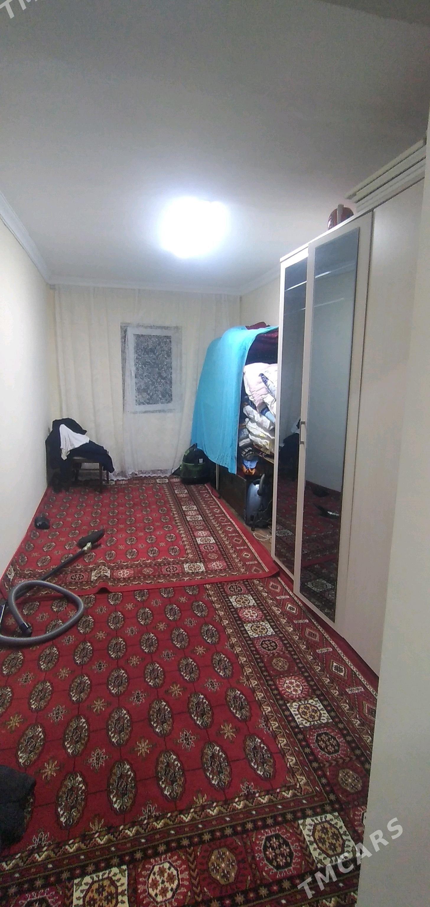 satlyk jay - Murgap - img 6