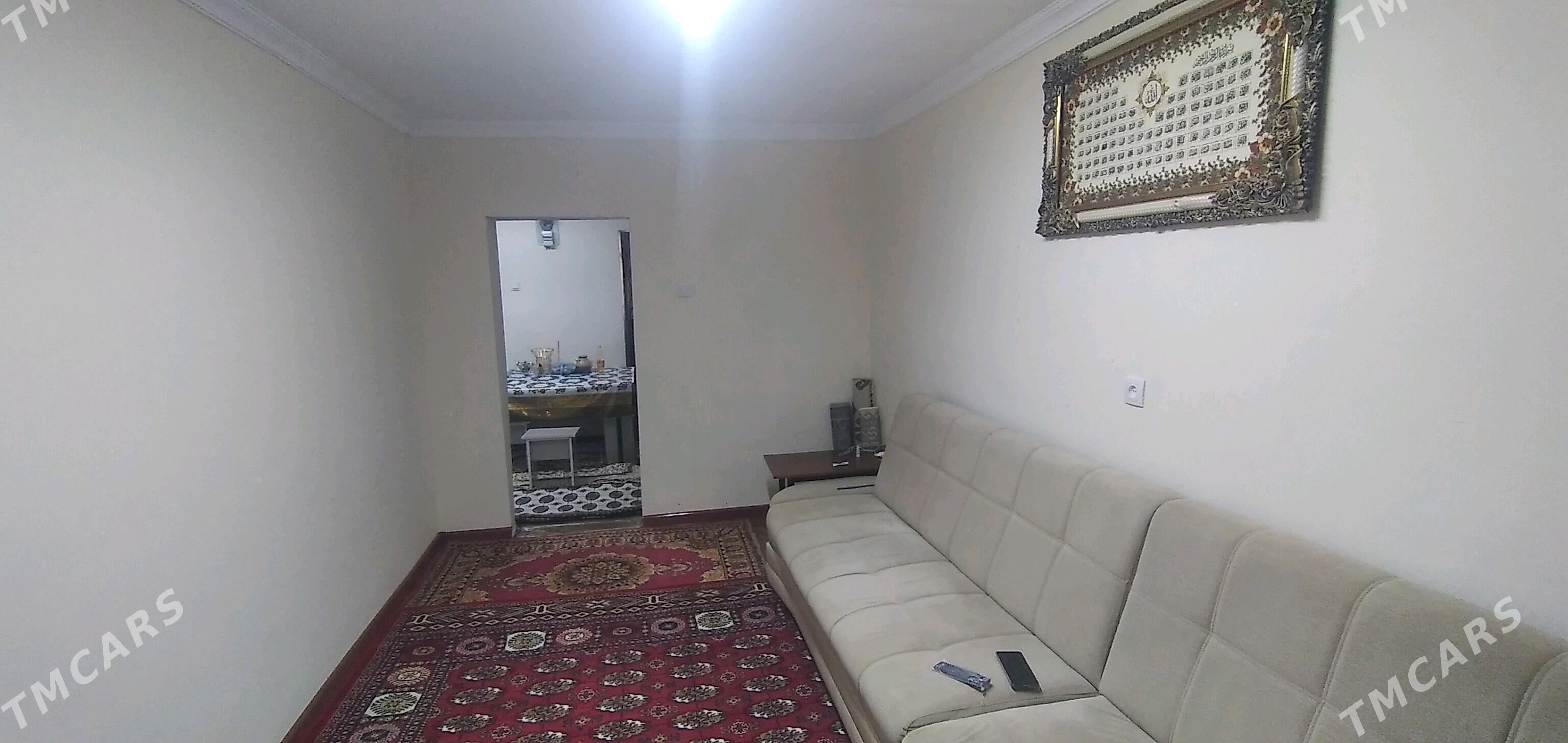 satlyk jay - Murgap - img 8