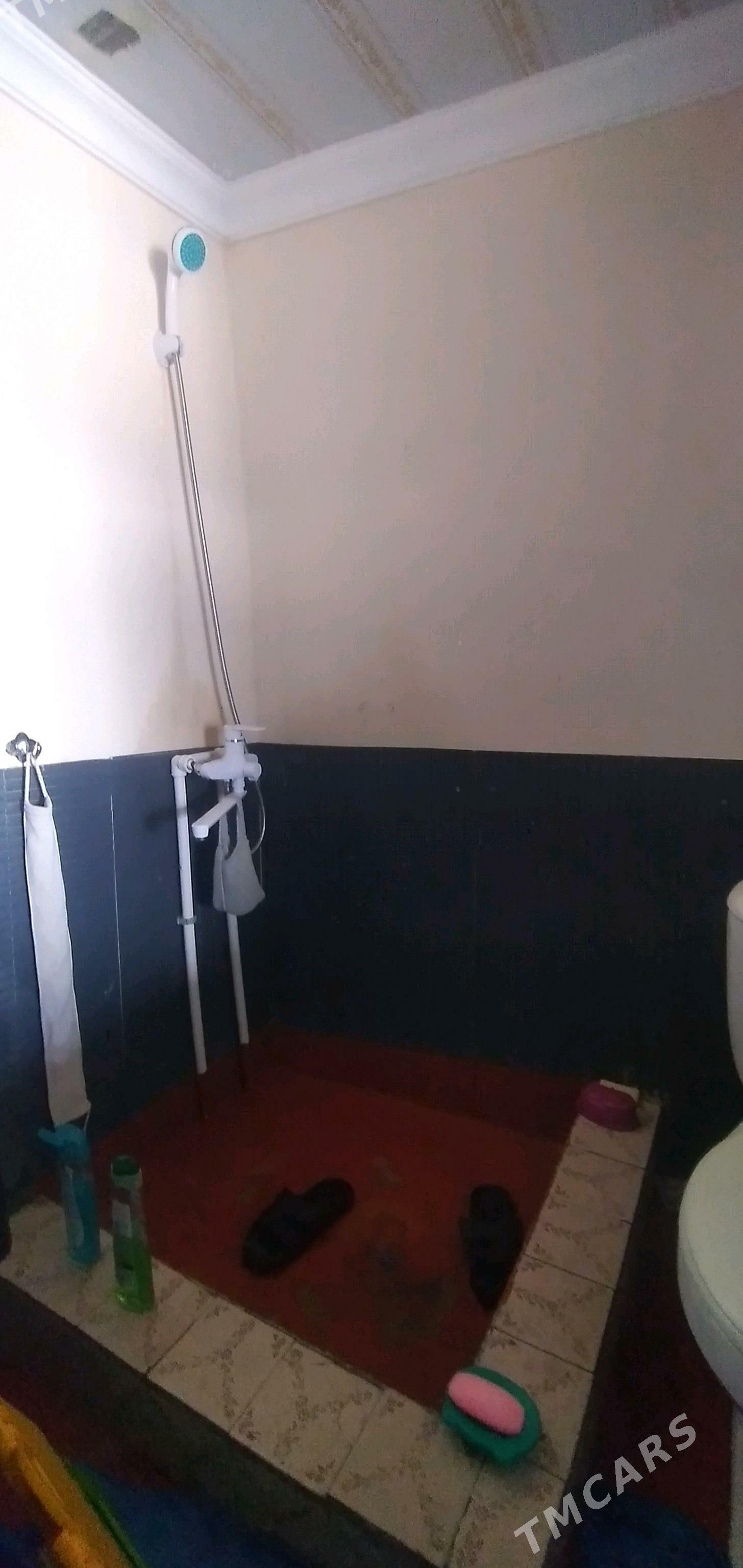 satlyk jay - Murgap - img 10