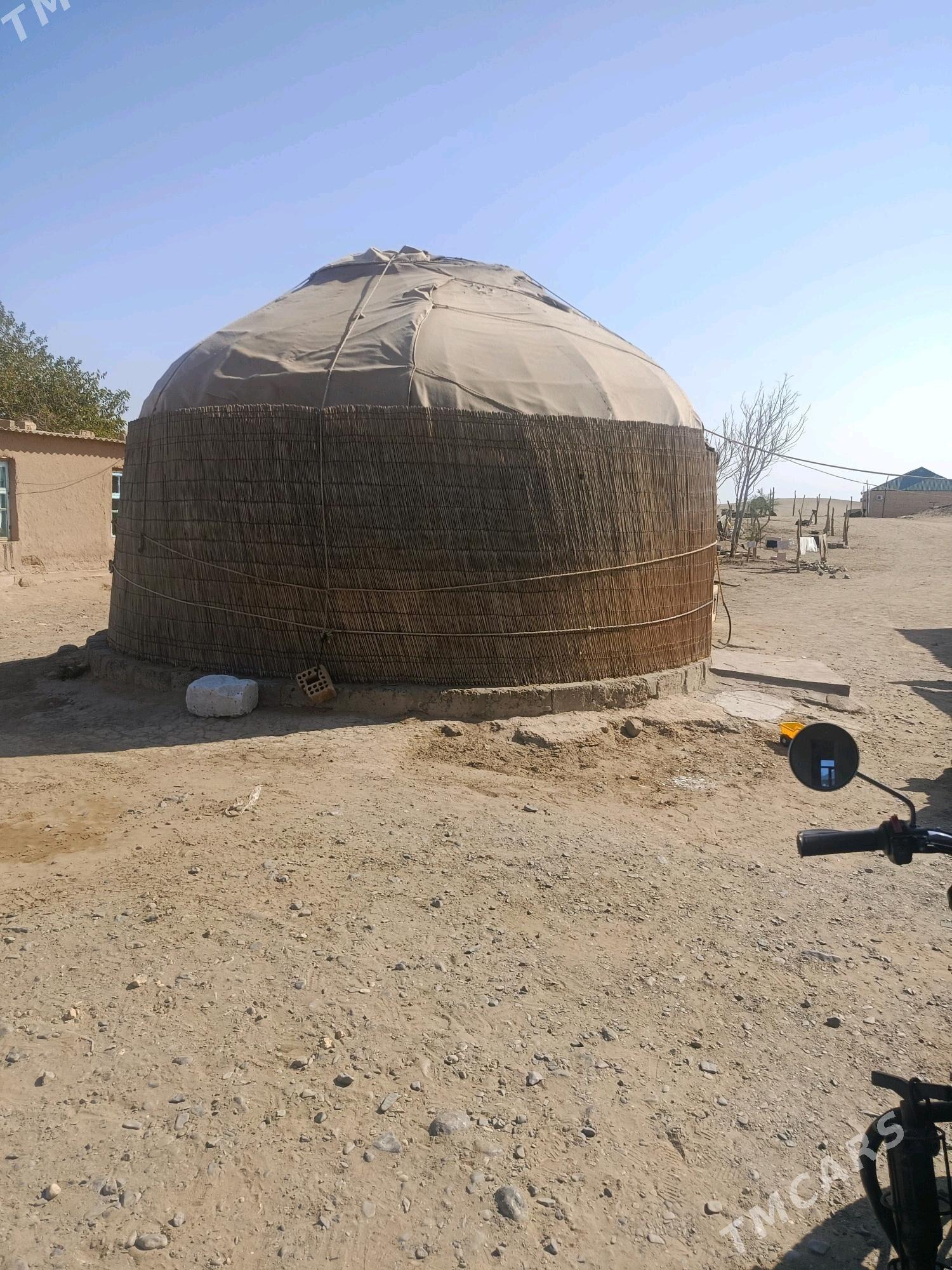 ak oy yeri bokurdak - Ak bugdaý etraby - img 2