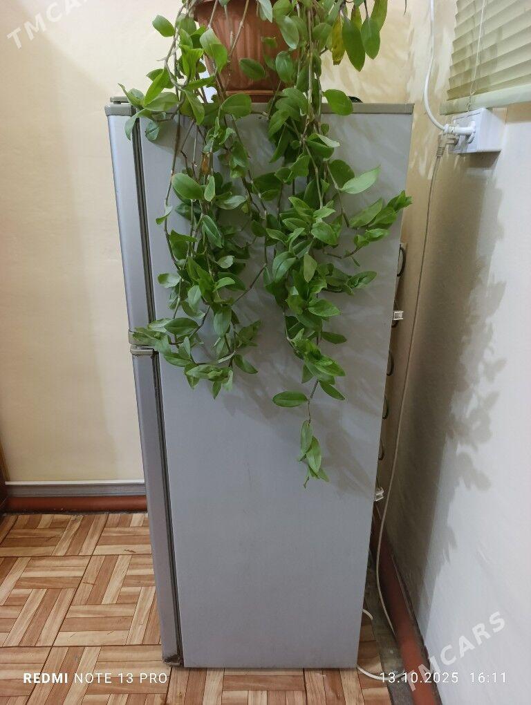 Holodilnik - Büzmeýin - img 2