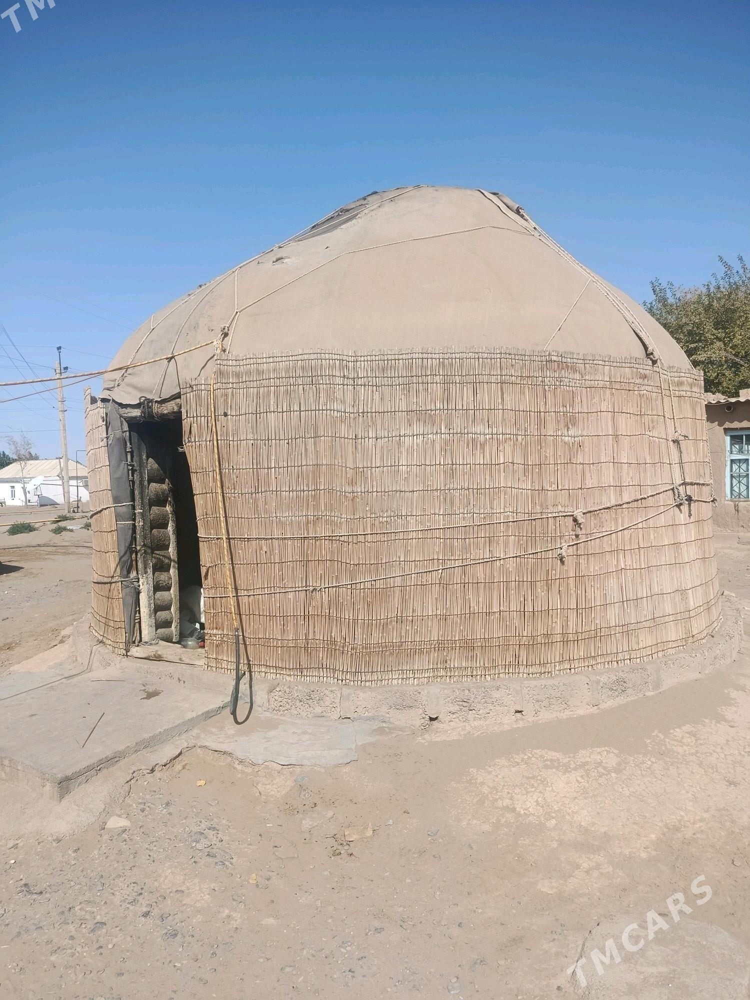 ak oy yeri bokurdak - Ak bugdaý etraby - img 3