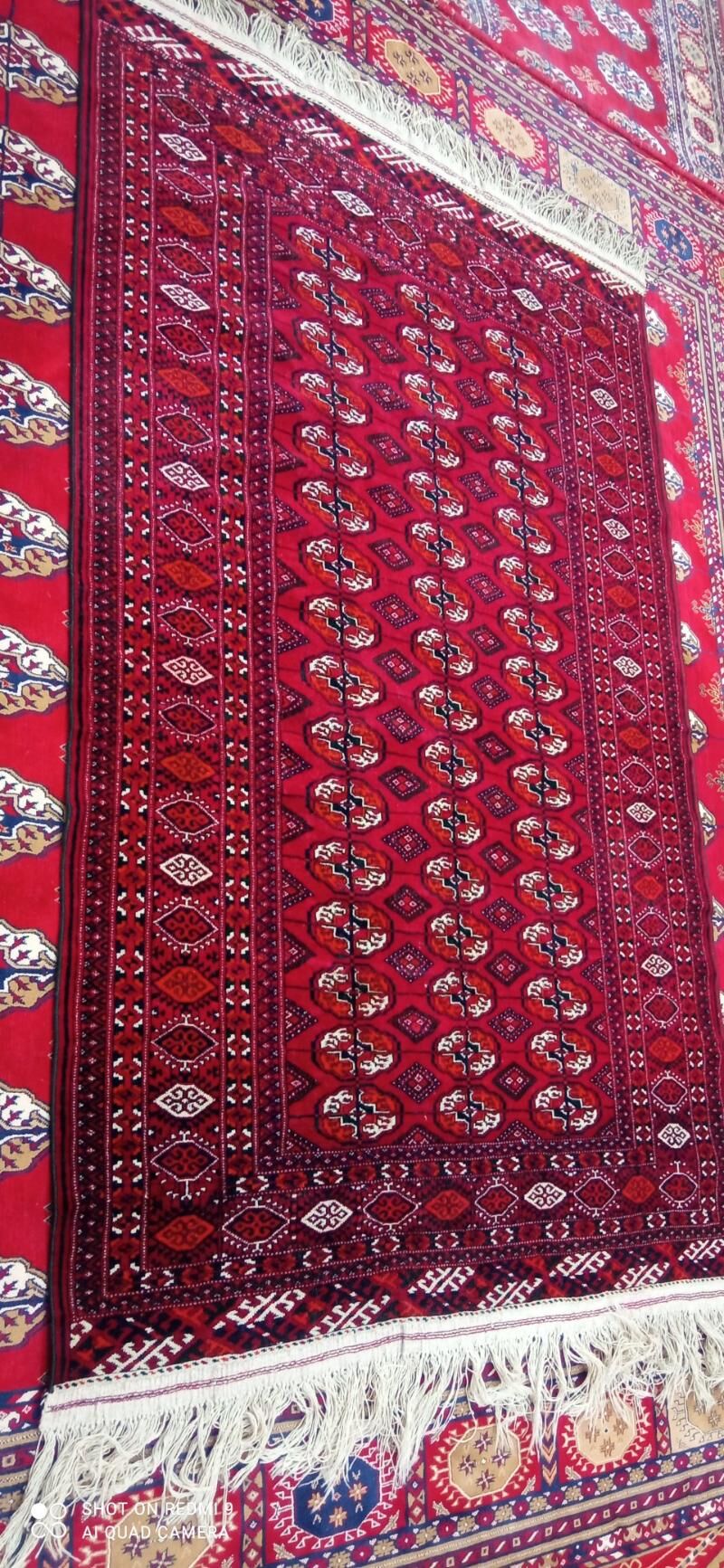 el haly - Ашхабад - img 2