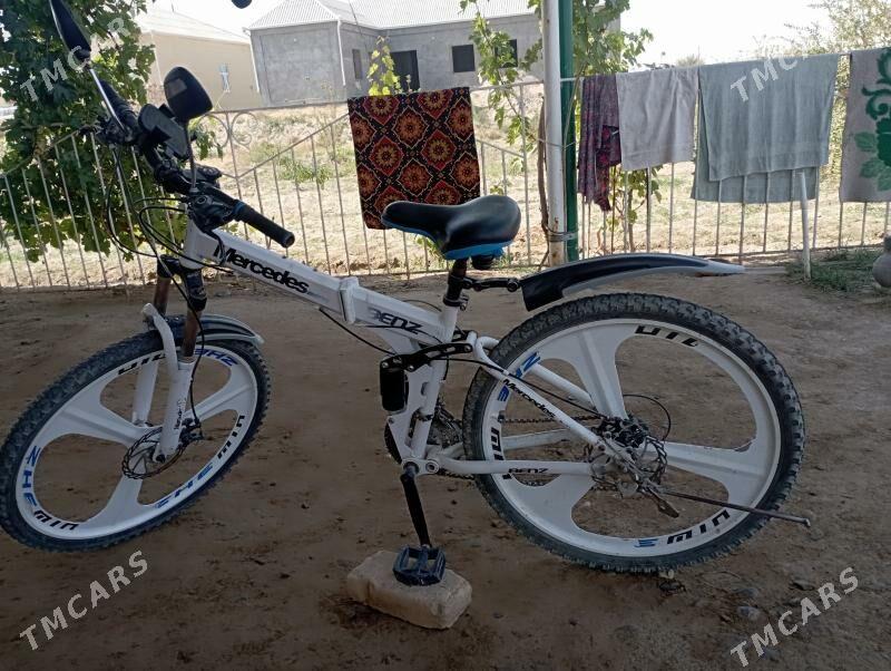 Tigir - Каракумский этрап - img 3