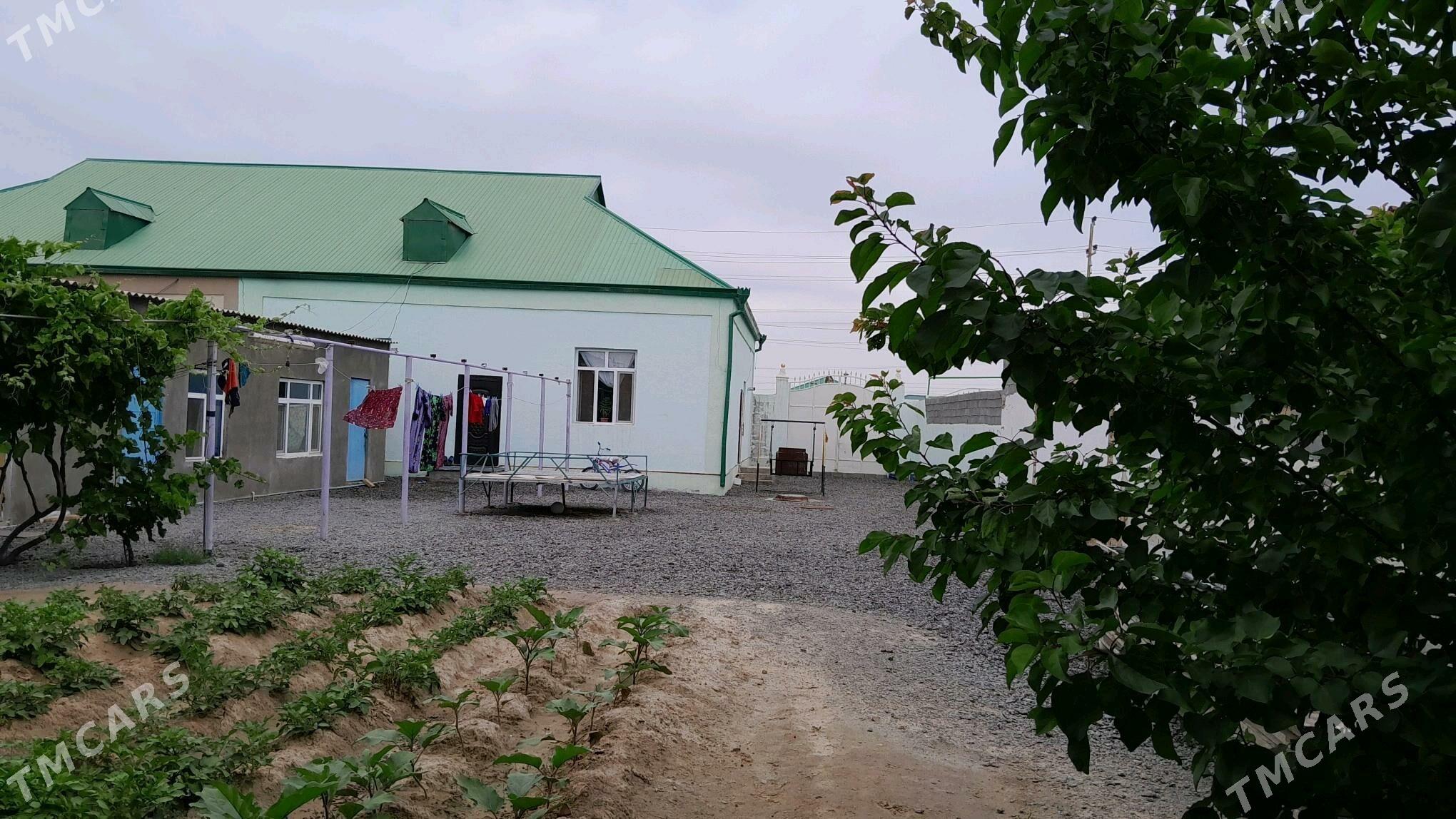 ÇOGANLY satlyk plan eyesinden - Чоганлы - img 3