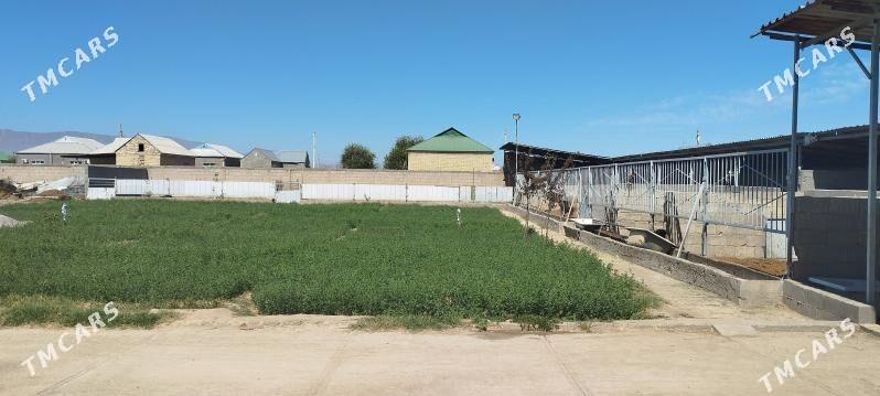 Mellek yer 25 sotuk - Гёкдепе - img 2