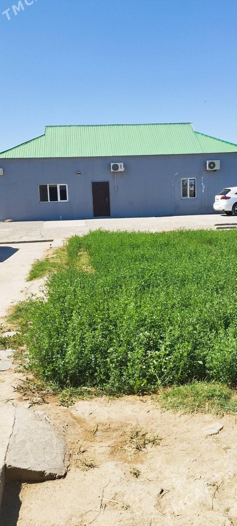 Mellek yer 25 sotuk - Гёкдепе - img 1