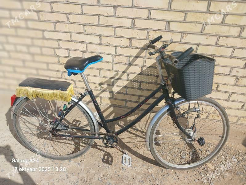 welsopet 26 lyk - Мары - img 3