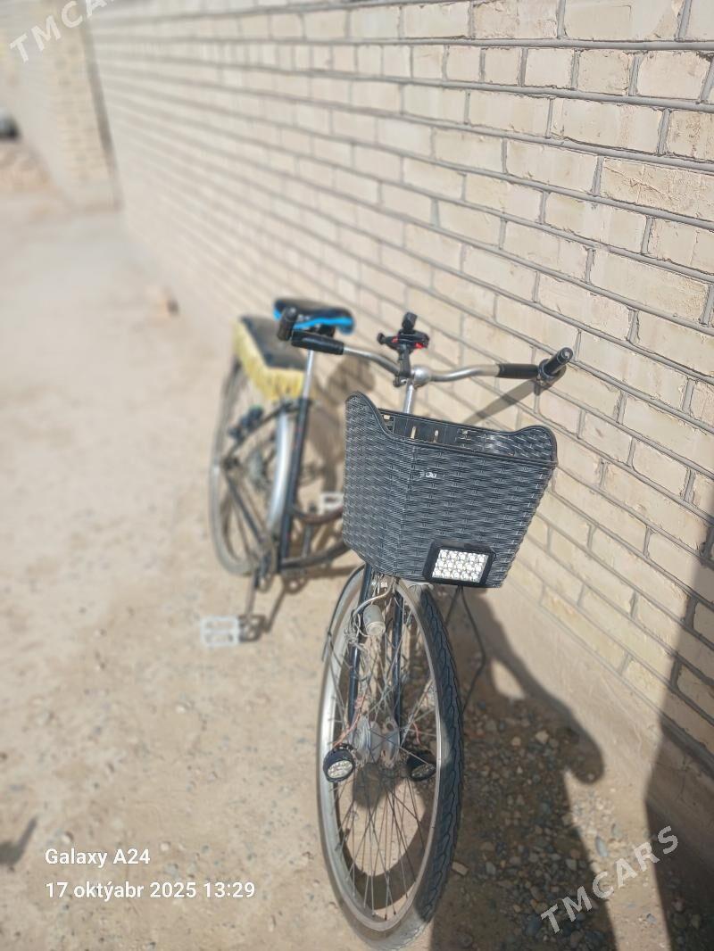 welsopet 26 lyk - Мары - img 2