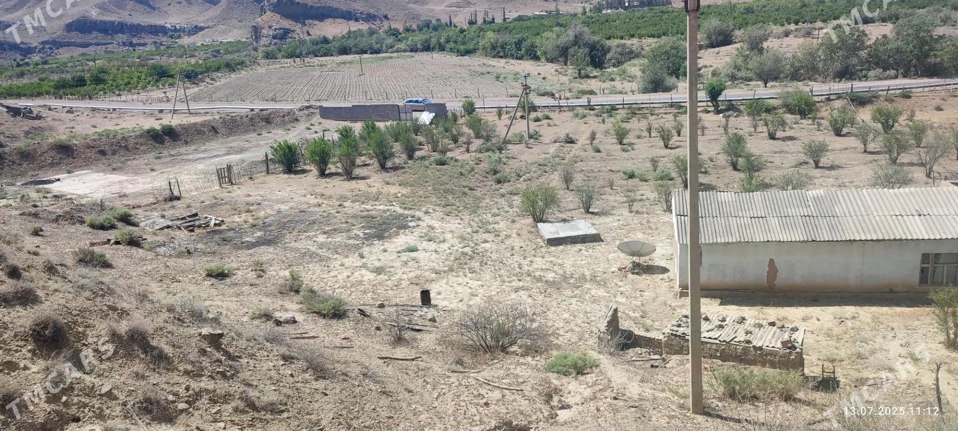 ŷer jaŷ daca - Magtymguly - img 4