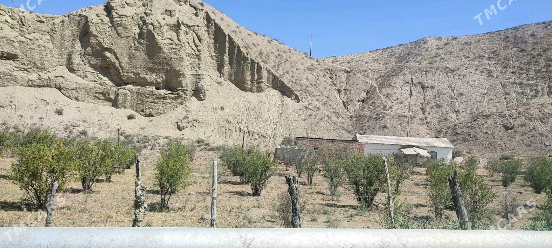 ŷer jaŷ daca - Magtymguly - img 2