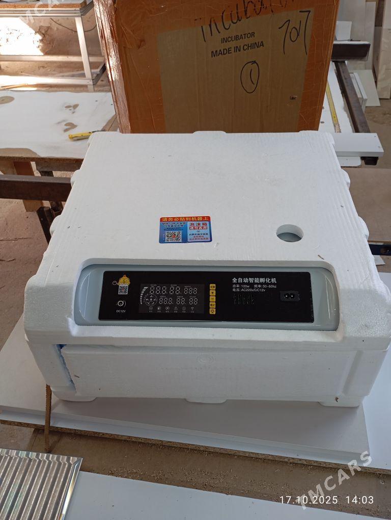 inkubator - Balkanabat - img 3