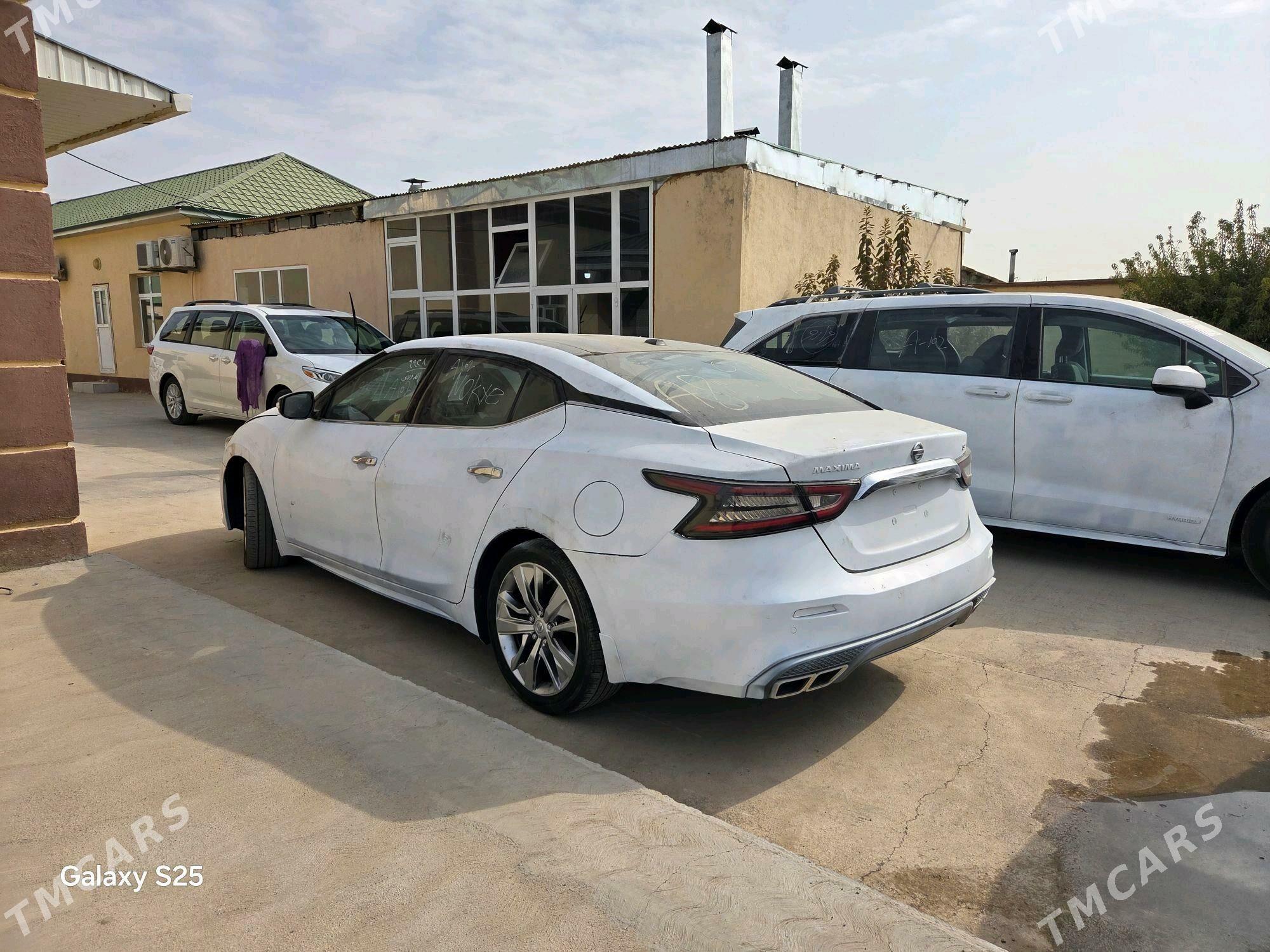 Nissan Maxima 2020 - 220 000 TMT - Aşgabat - img 1