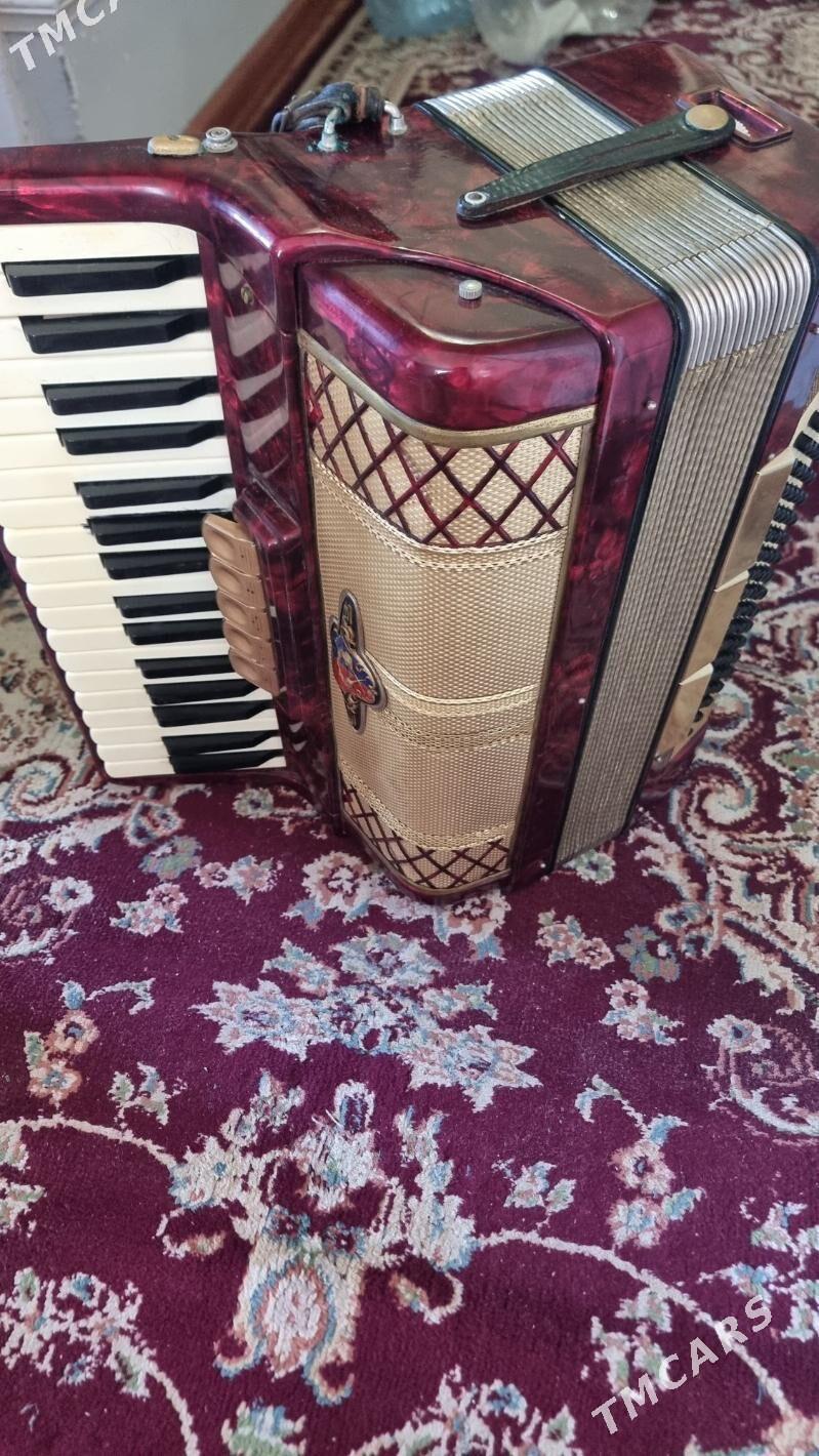 Akkardeon made in Germany - Туркменабат - img 2