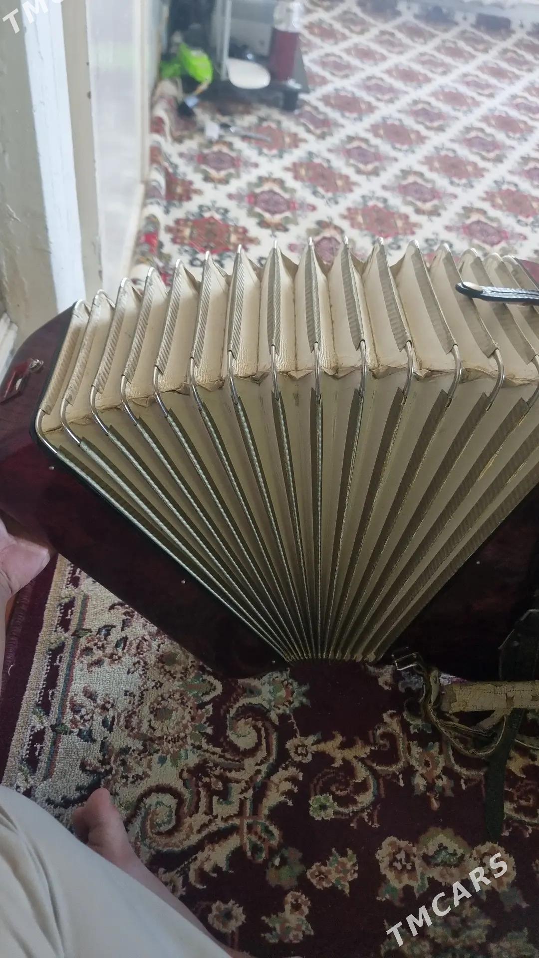 Akkardeon made in Germany - Туркменабат - img 3