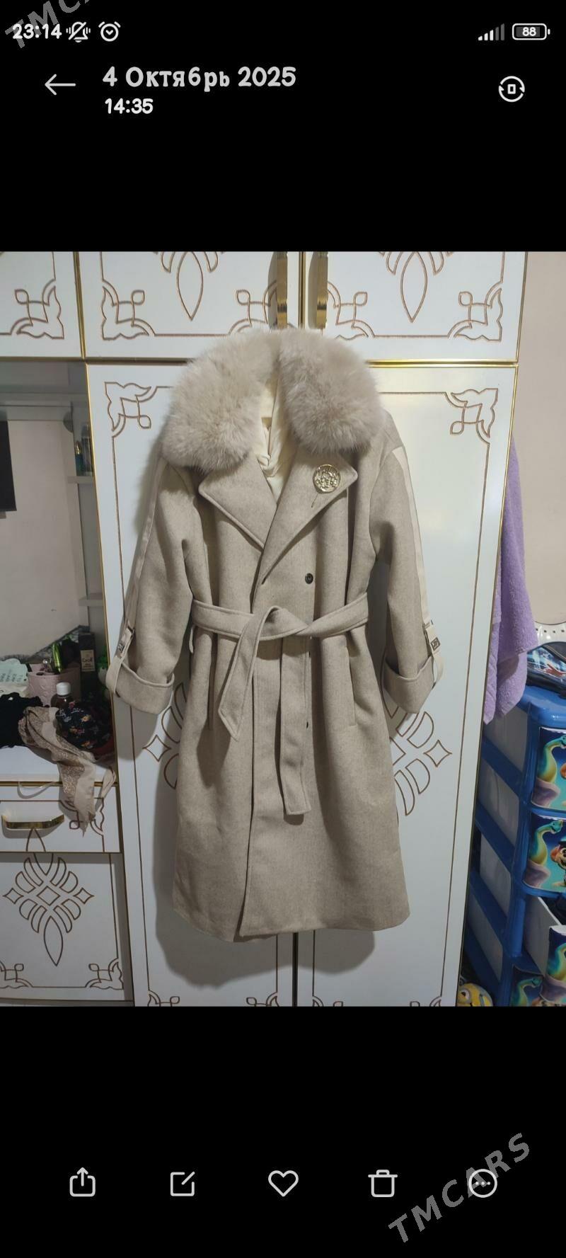 palto - Daşoguz - img 2