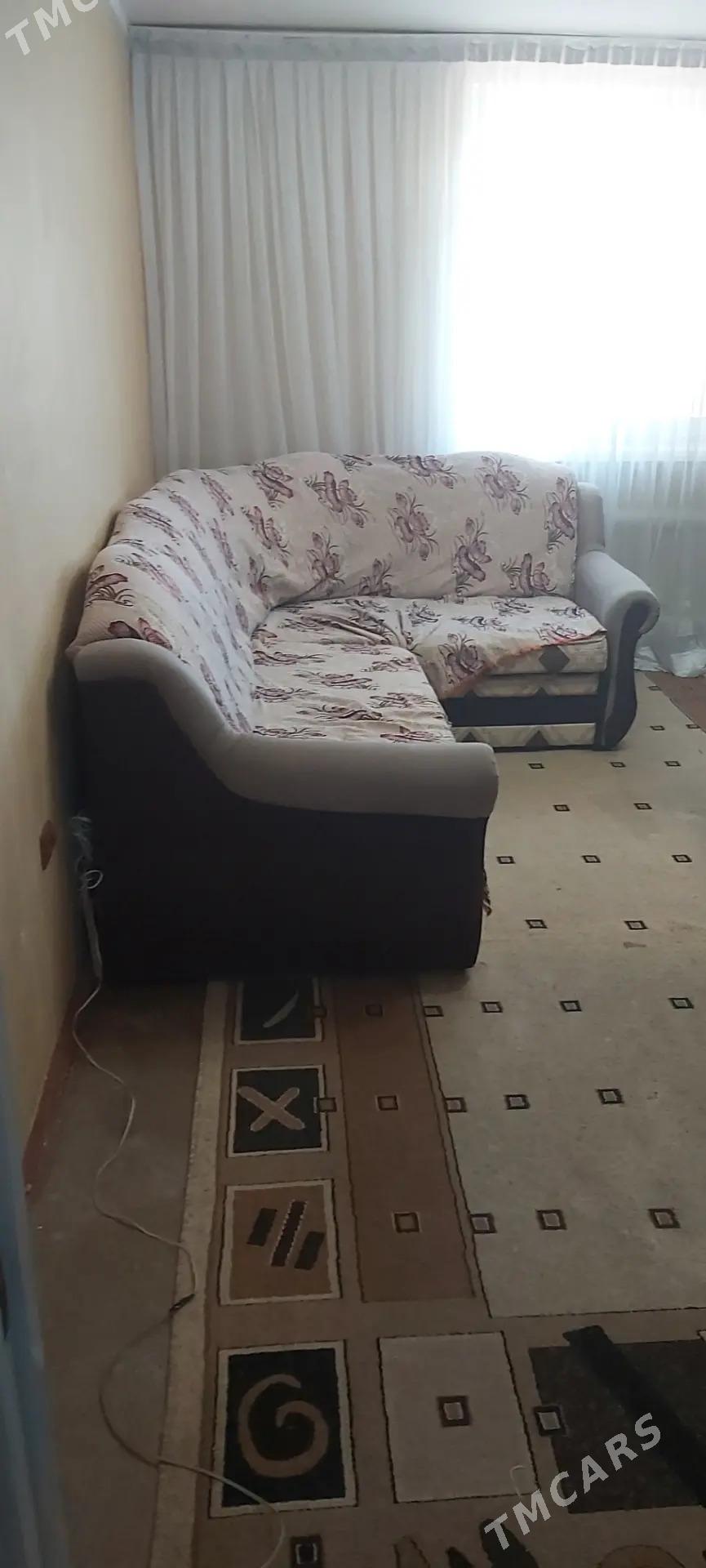 satlyk jaylar - Gagarin köç, köne Howa menzili - img 1